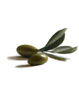 Ultra Doux Soin Capillaire Olive Mythique