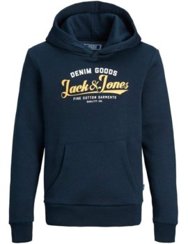 Sweat À Capuche Junior - Jjelogo Sweat Hood 2 Col 20/21 Noos Jr