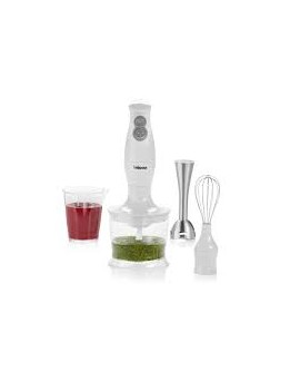 Mixeur plongeant MX-4154