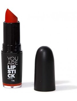 Rouge à lèvres mat - Matte Lipstick